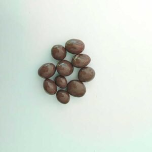 Pasas con chocolate con leche Argenfrut