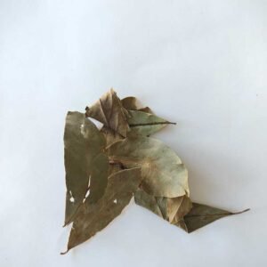 Laurel