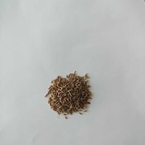 Comino en grano
