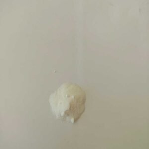 Leche en polvo de coco