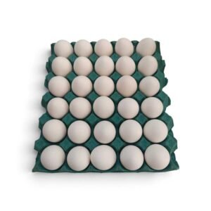 Huevos de Criadero blanco maple