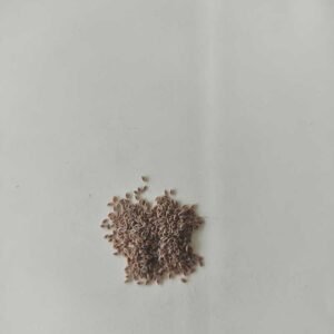 Semillas Psyllium